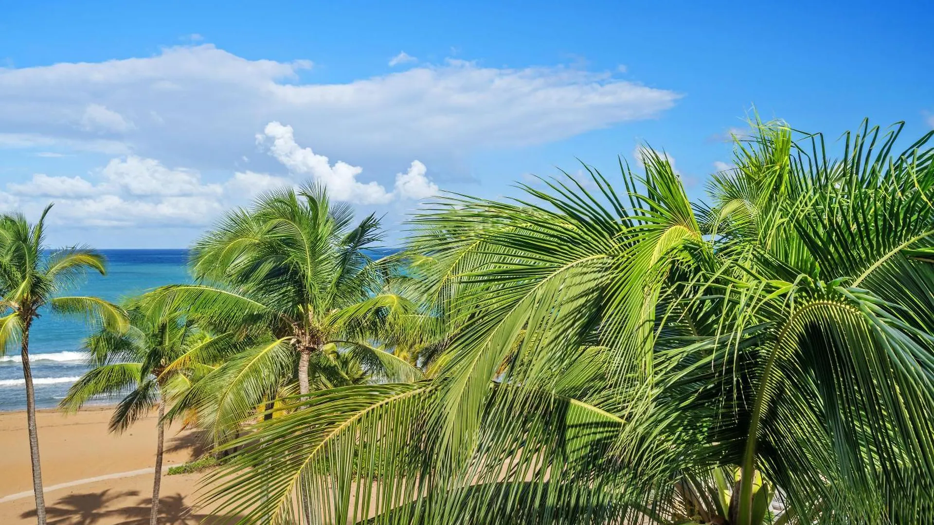 Luxury Condo Near San Juan Rio Grande