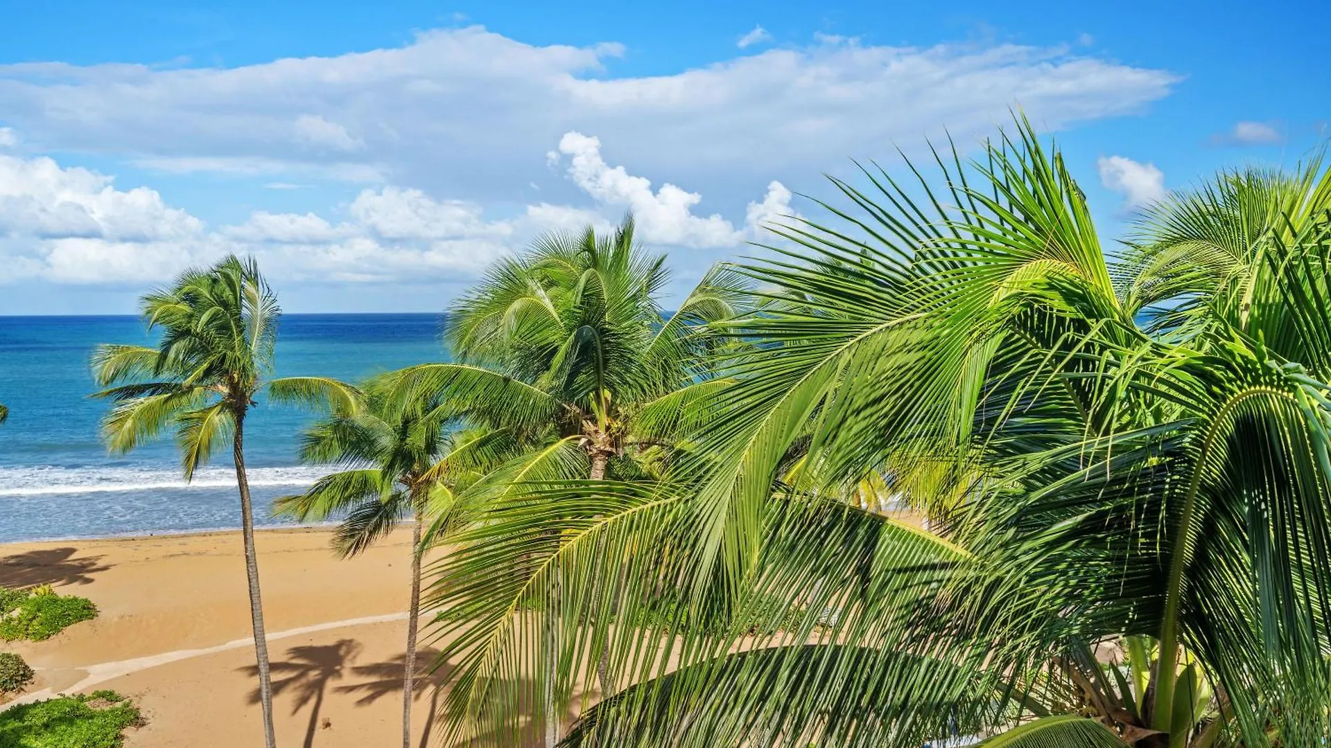Luxury Condo Near San Juan Rio Grande Apartment