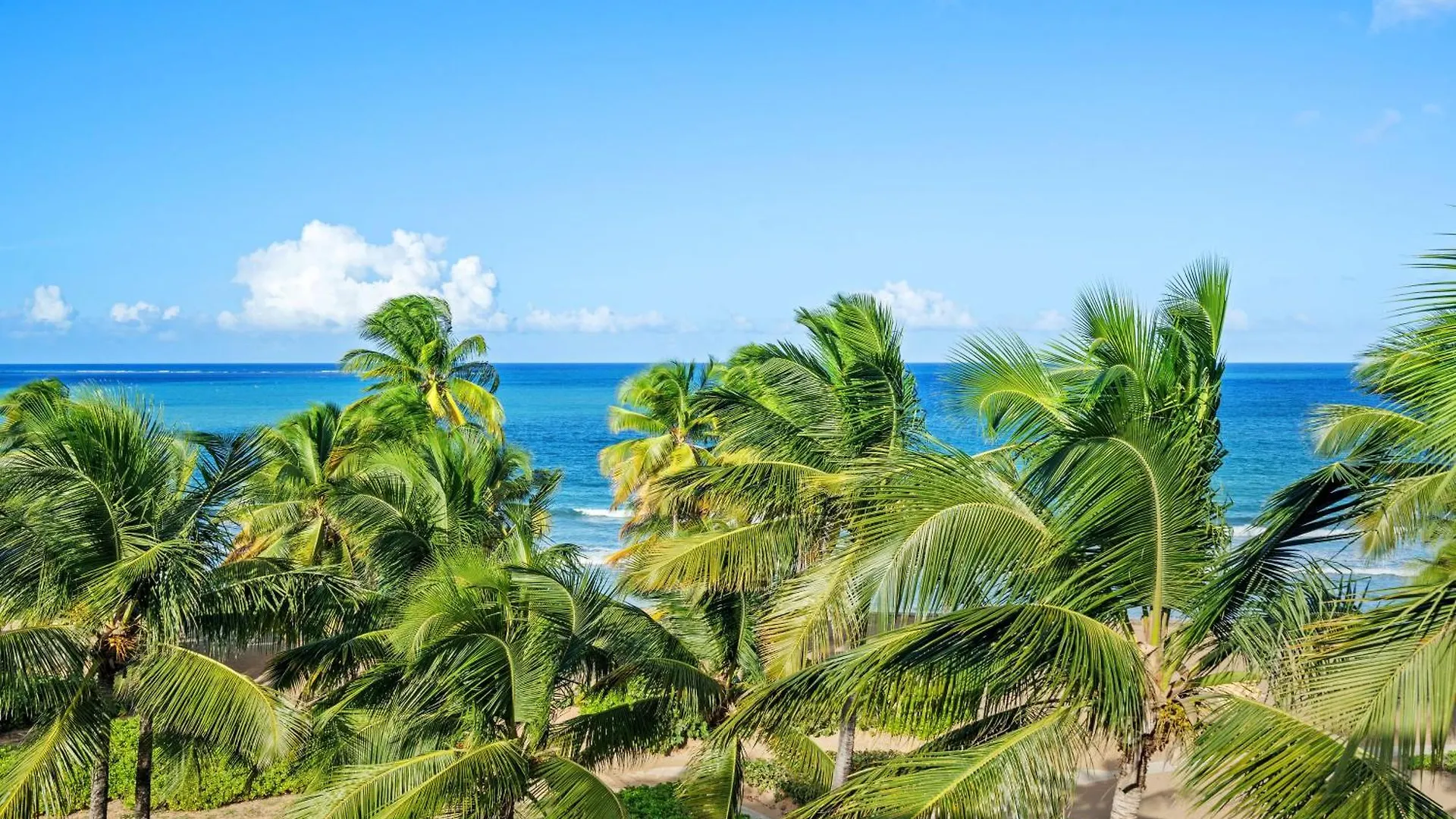 Luxury Condo Near San Juan Rio Grande 0*,  Puerto Rico