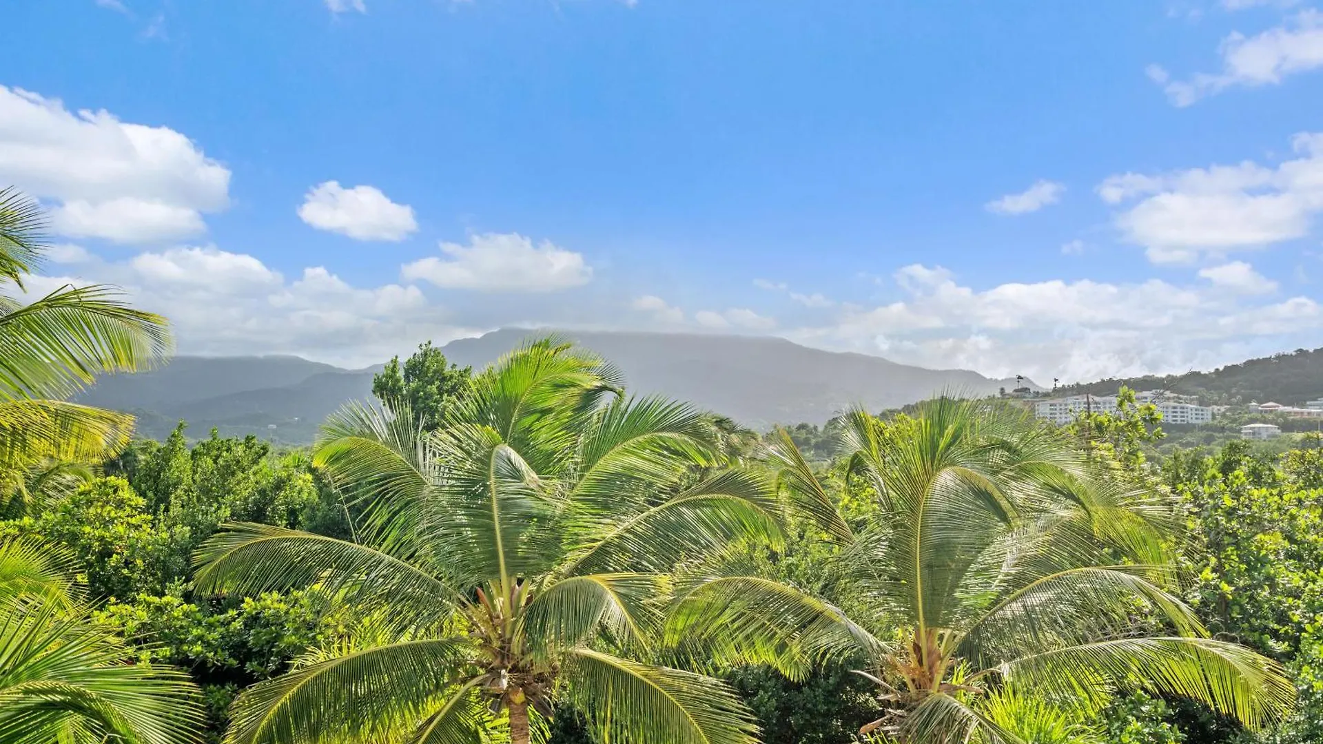 Luxury Condo Near San Juan Rio Grande